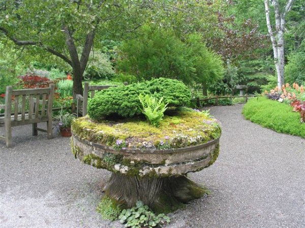 12-Voyage AREQ 2012.jpg - À partir d'une souche...