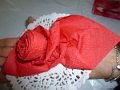 10- Rose rouge comme Gisèle